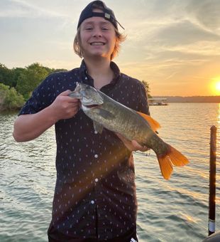 Smallmouth Bass in Lake Taneycomo